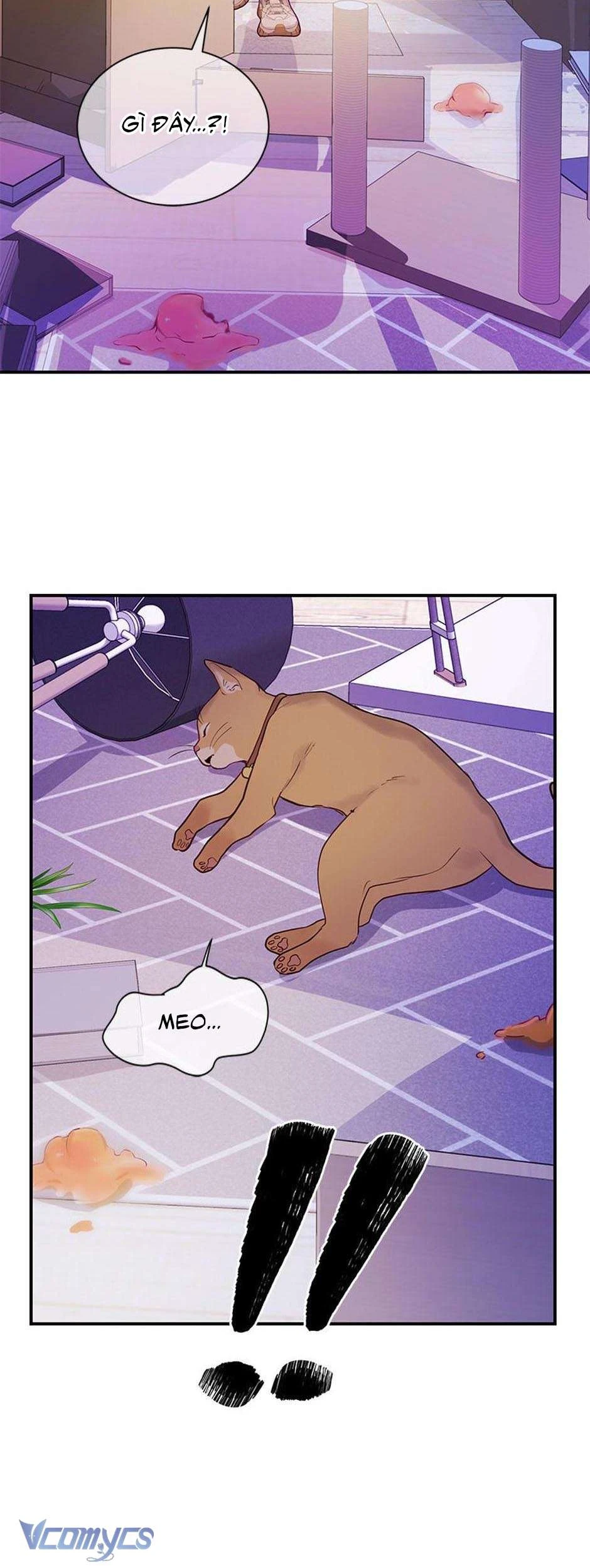 Lời Tỏ Tình Đáng Ngờ Chapter  60 - 41