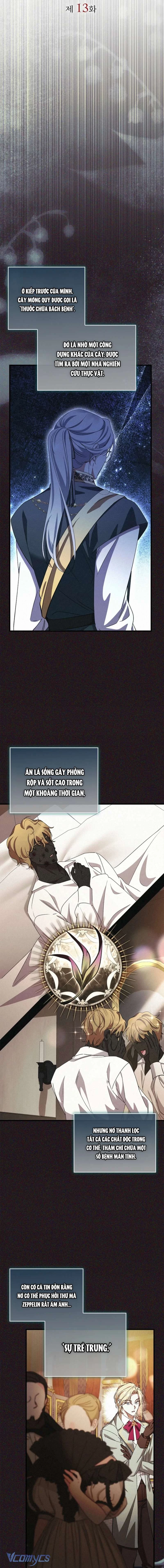 Nữ Bá Tước Bỏ Trốn Đã Quay Trở Lại Chapter 13 - 16