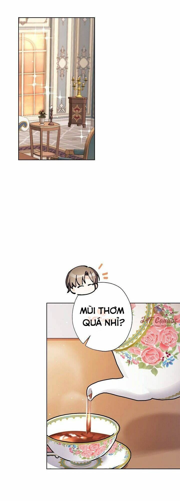 Tôi Trở Thành Mẹ Kế Của Cinderella Chapter 13 - 25