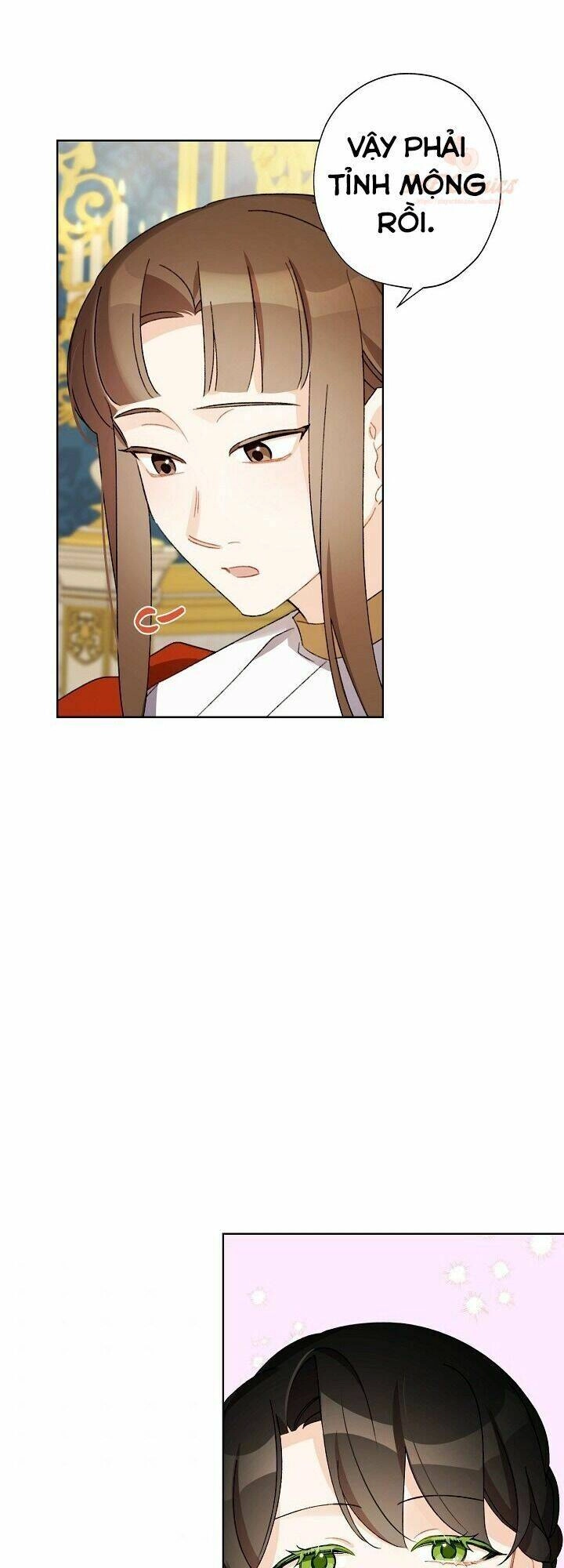 Tôi Trở Thành Mẹ Kế Của Cinderella Chapter 28 - 46