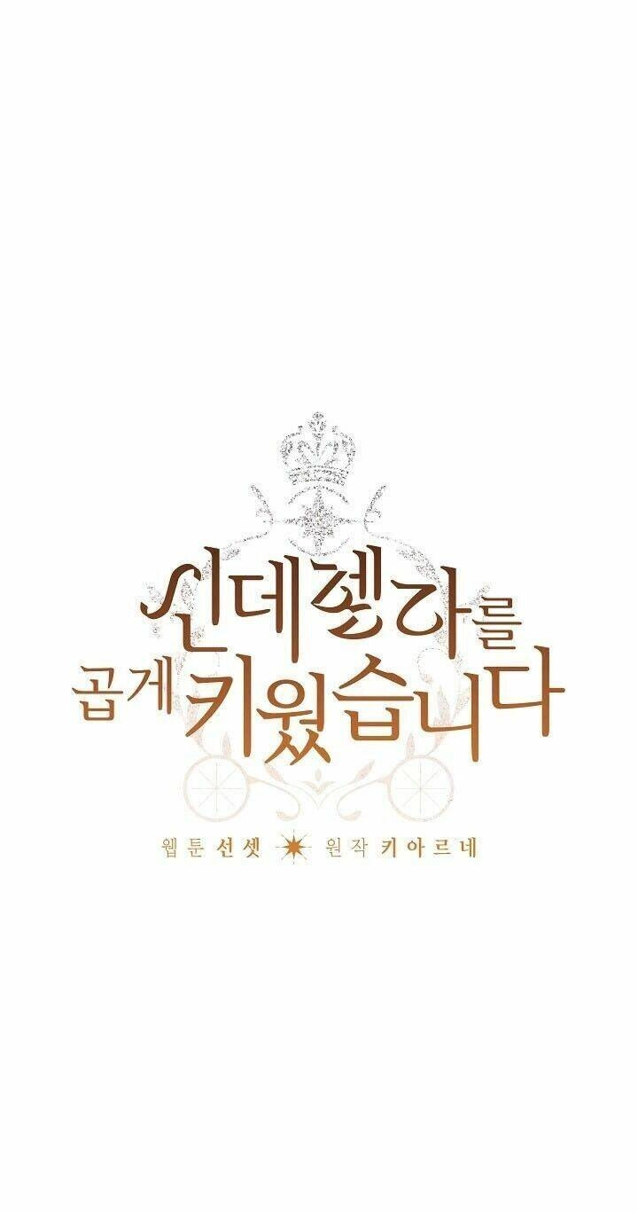 Tôi Trở Thành Mẹ Kế Của Cinderella Chapter 39 - 3