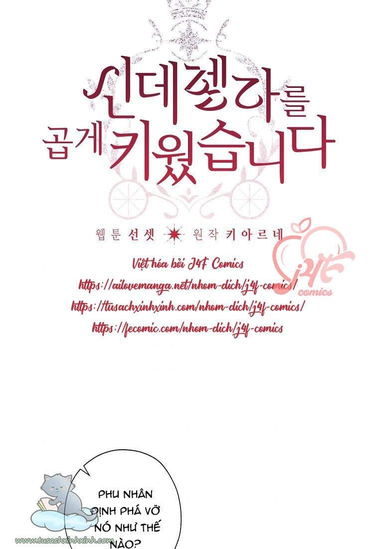 Tôi Trở Thành Mẹ Kế Của Cinderella Chapter 57 - 4