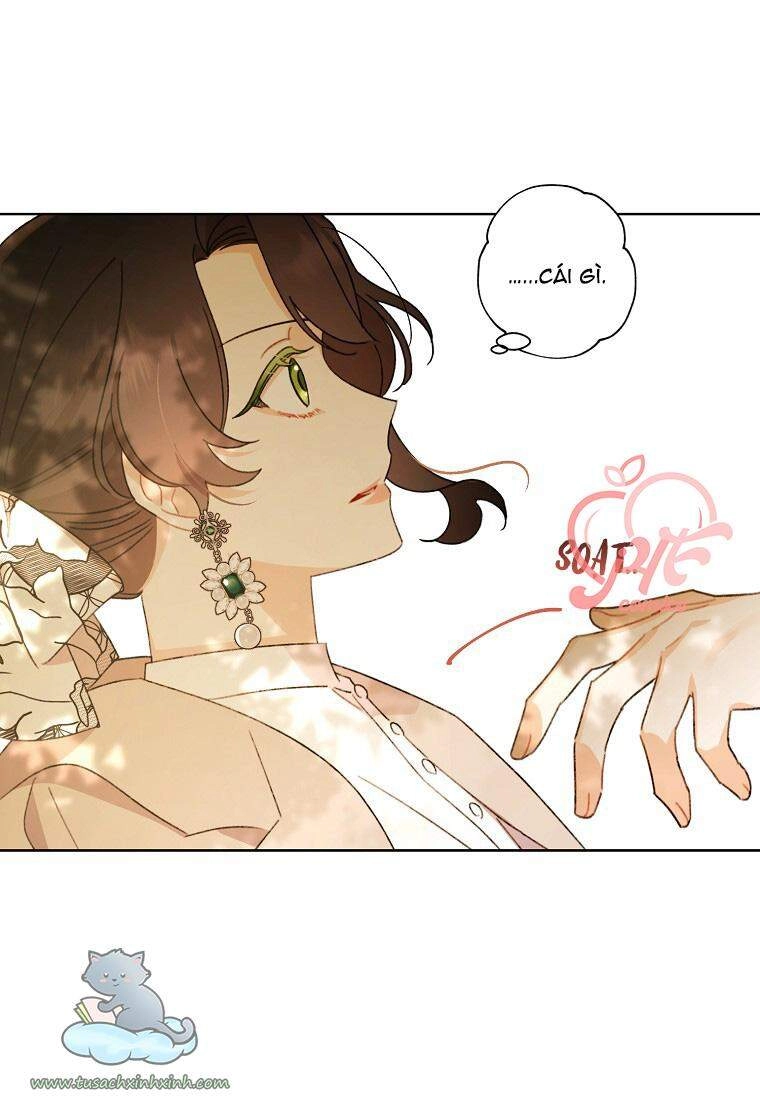 Tôi Trở Thành Mẹ Kế Của Cinderella Chapter 57 - 41