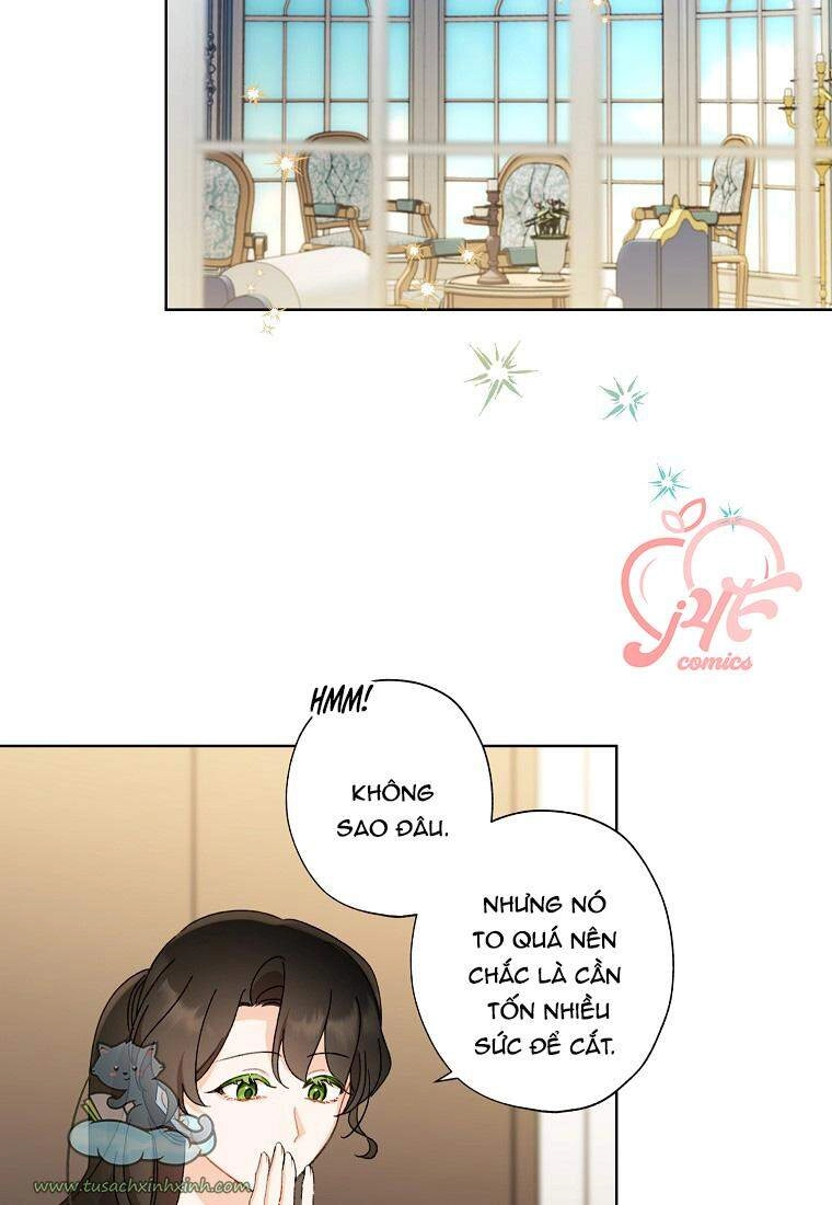 Tôi Trở Thành Mẹ Kế Của Cinderella Chapter 57 - 62