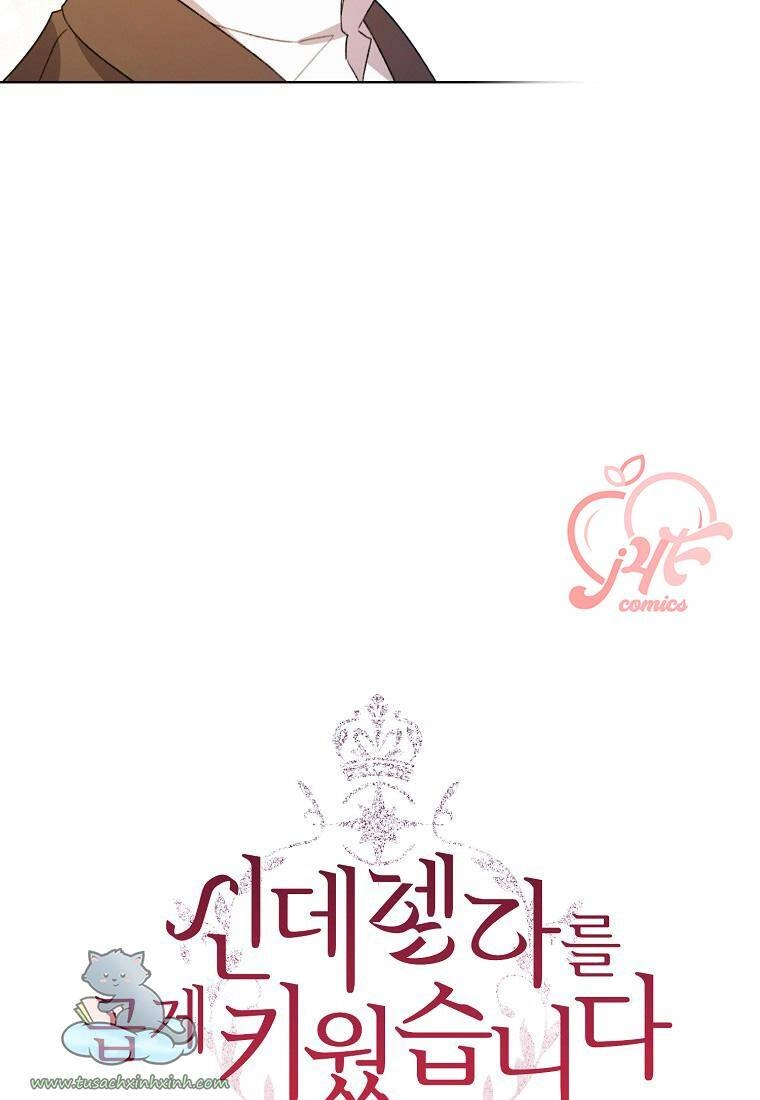Tôi Trở Thành Mẹ Kế Của Cinderella Chapter 60 - 21