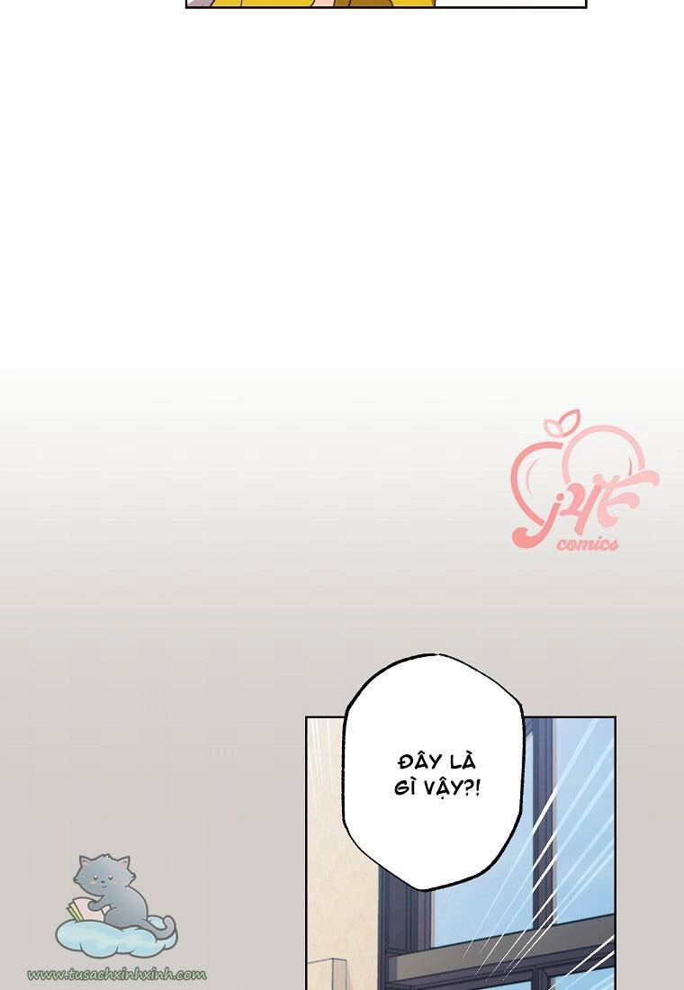 Tôi Trở Thành Mẹ Kế Của Cinderella Chapter 60 - 26
