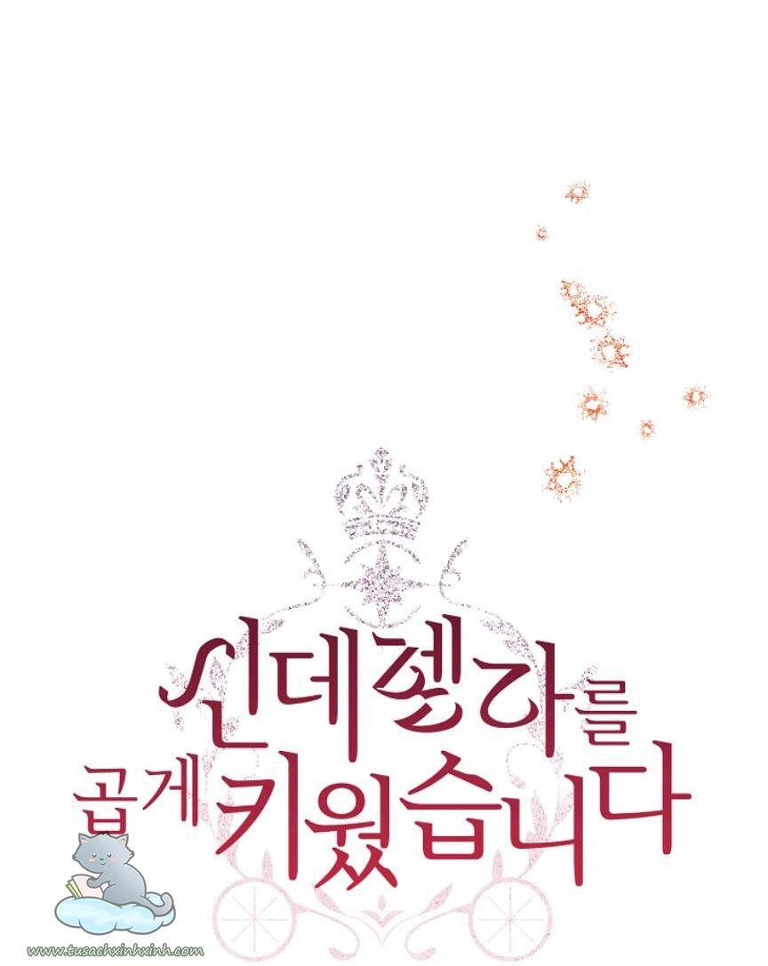 Tôi Trở Thành Mẹ Kế Của Cinderella Chapter 62 - 7