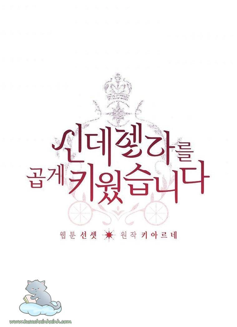 Tôi Trở Thành Mẹ Kế Của Cinderella Chapter 64 - 3