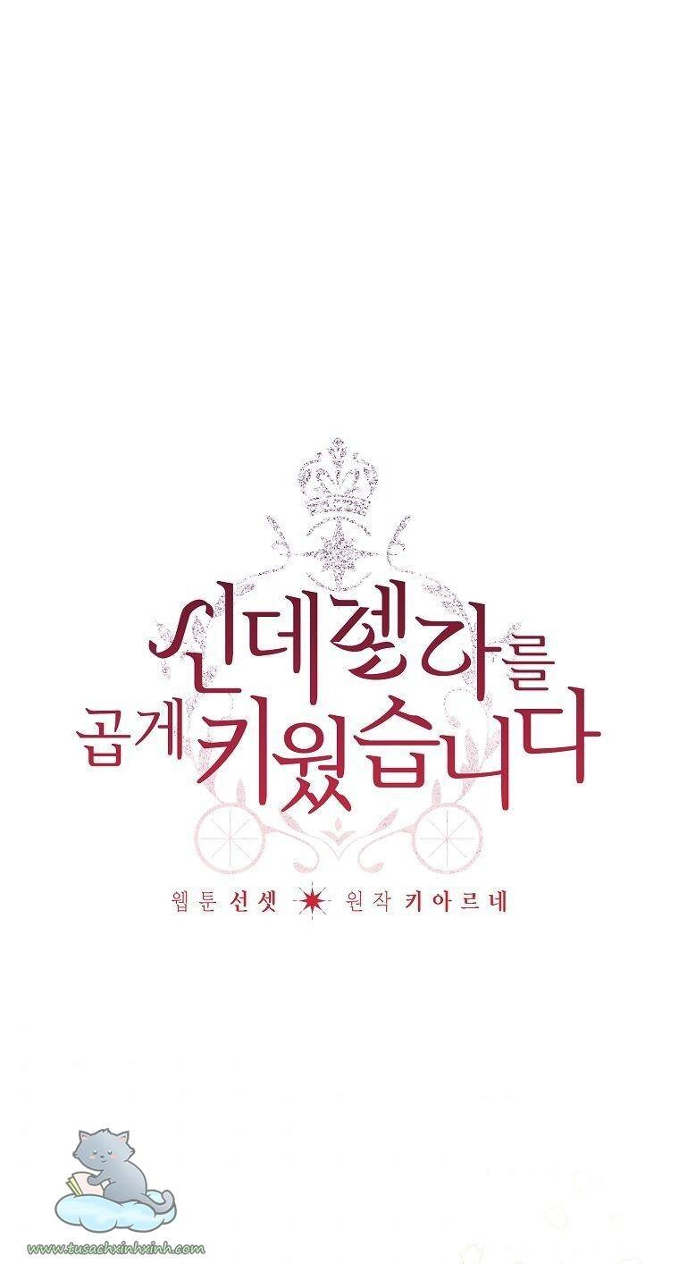 Tôi Trở Thành Mẹ Kế Của Cinderella Chapter 65 - 1