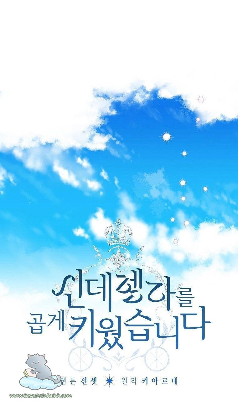 Tôi Trở Thành Mẹ Kế Của Cinderella Chapter 66 - 8