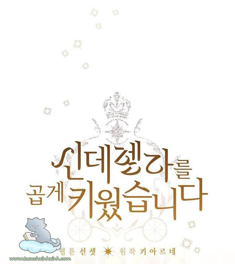 Tôi Trở Thành Mẹ Kế Của Cinderella Chapter 75 - 15