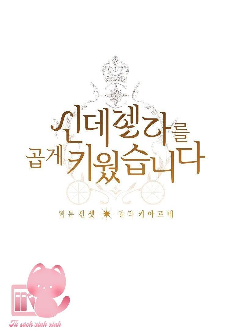 Tôi Trở Thành Mẹ Kế Của Cinderella Chapter 78 - 9