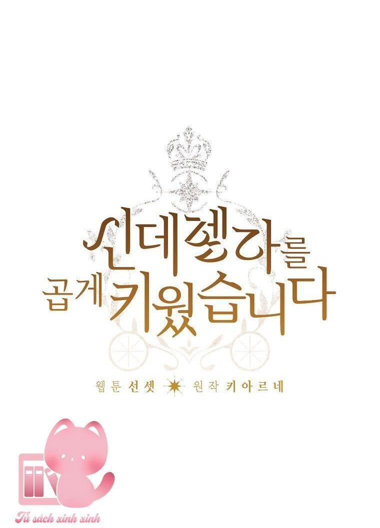 Tôi Trở Thành Mẹ Kế Của Cinderella Chapter 84 - 17