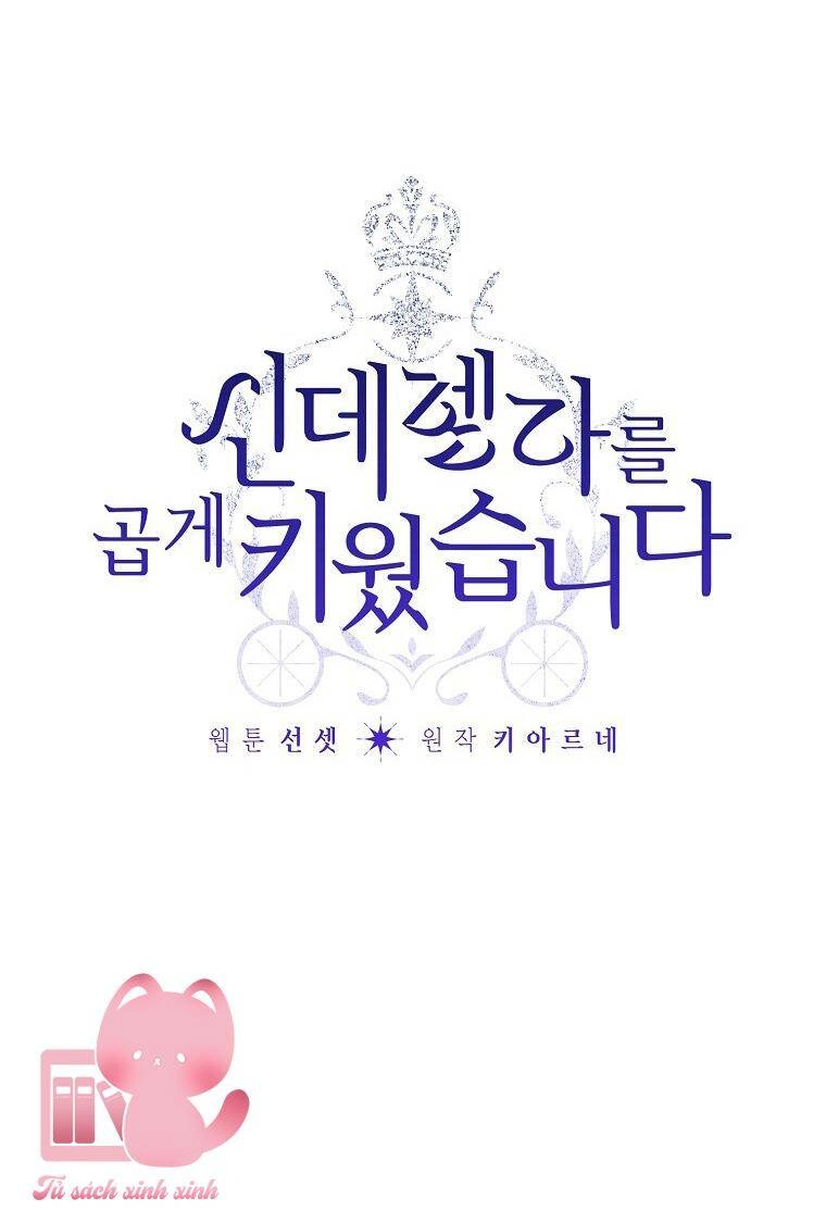 Tôi Trở Thành Mẹ Kế Của Cinderella Chapter 95 - 8