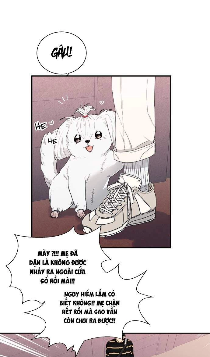 Phải Lòng Oan Gia Chapter 10 - 16