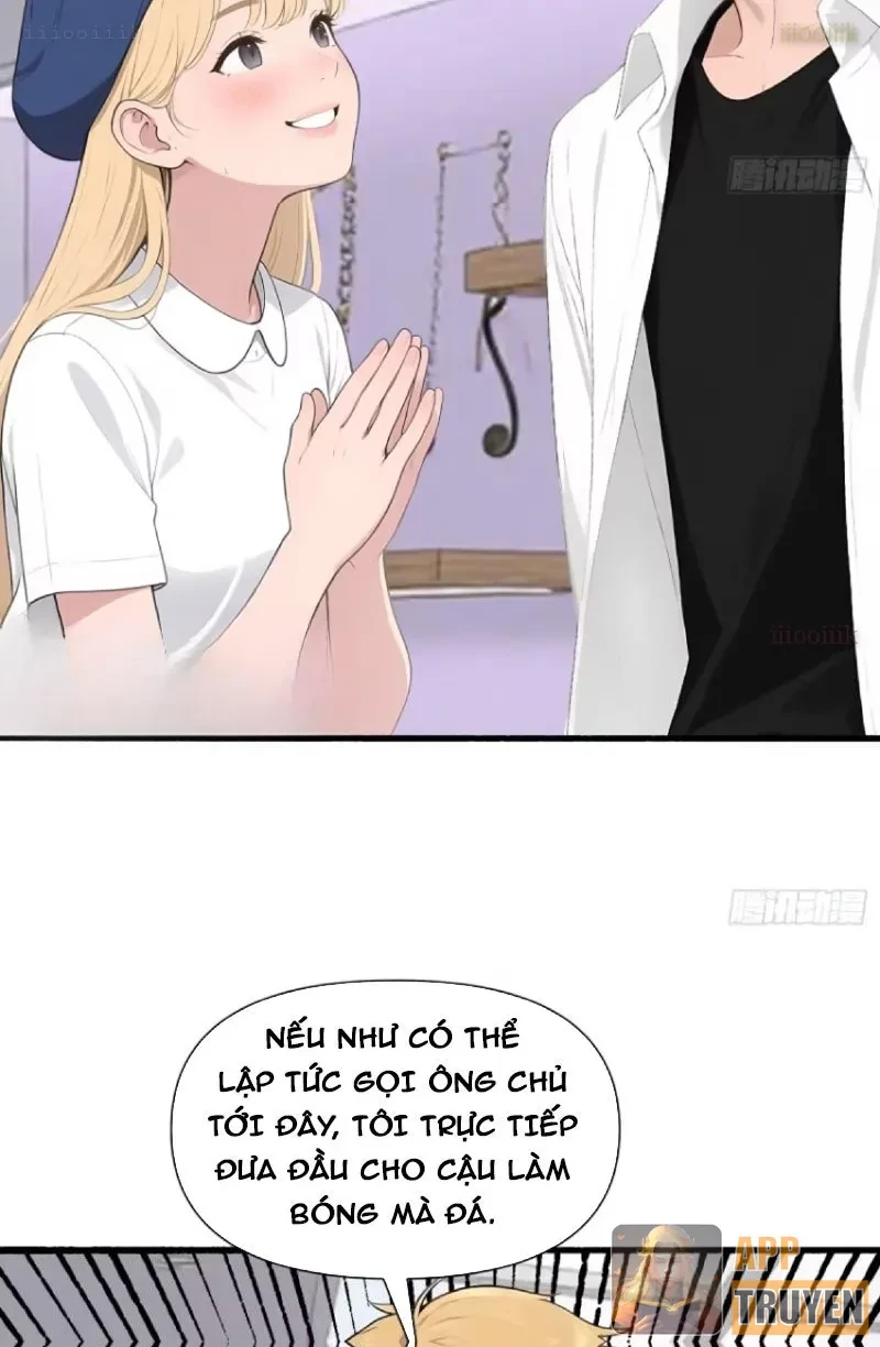 Hệ Thống Hoàn Tiền: Vô Hạn Tự Do Tài Chính Chapter 27 - 9