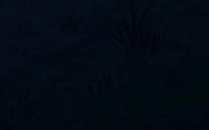 Huyết Lai Chapter 22 - 247