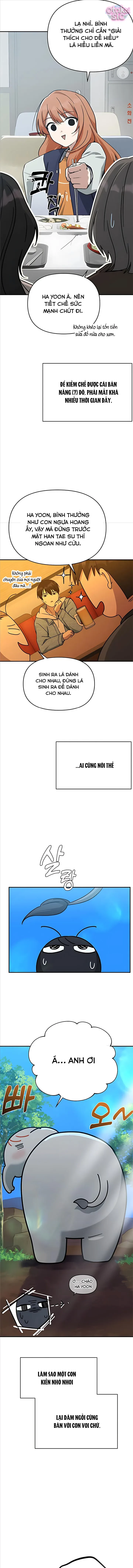 Mia Đã Trở Lại Chapter 17 - 4