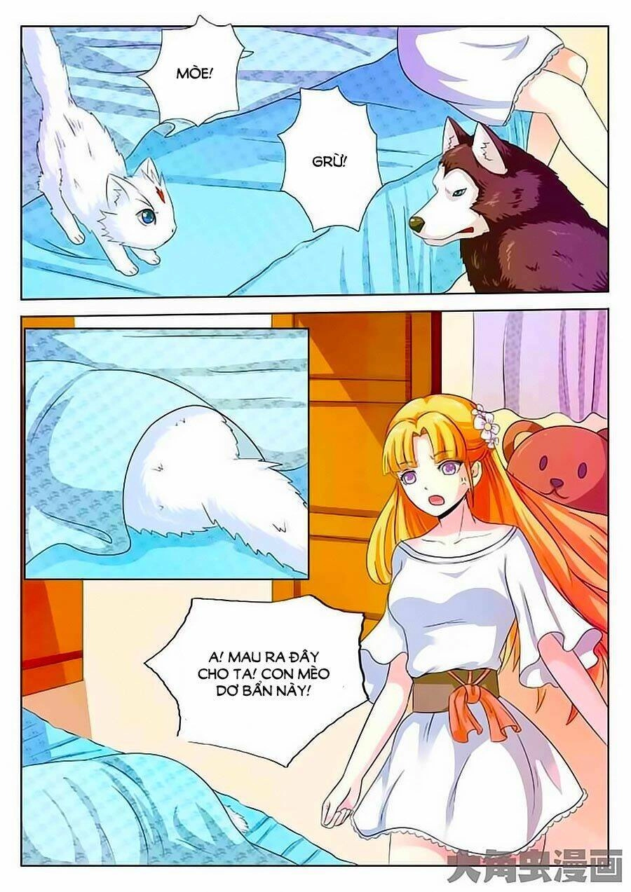 Mau Lấy Con Mèo Đó Ra Chapter 2 - 4