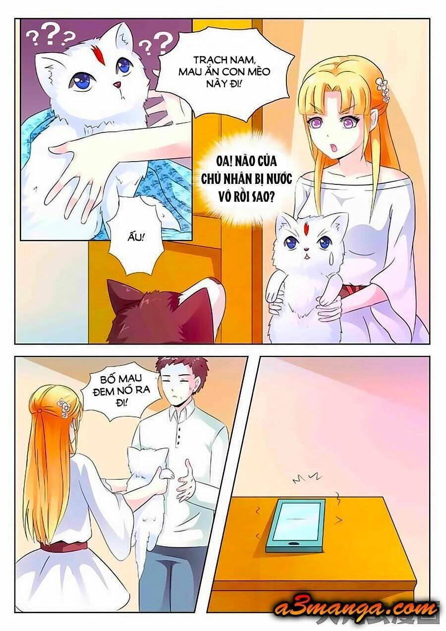 Mau Lấy Con Mèo Đó Ra Chapter 2 - 5