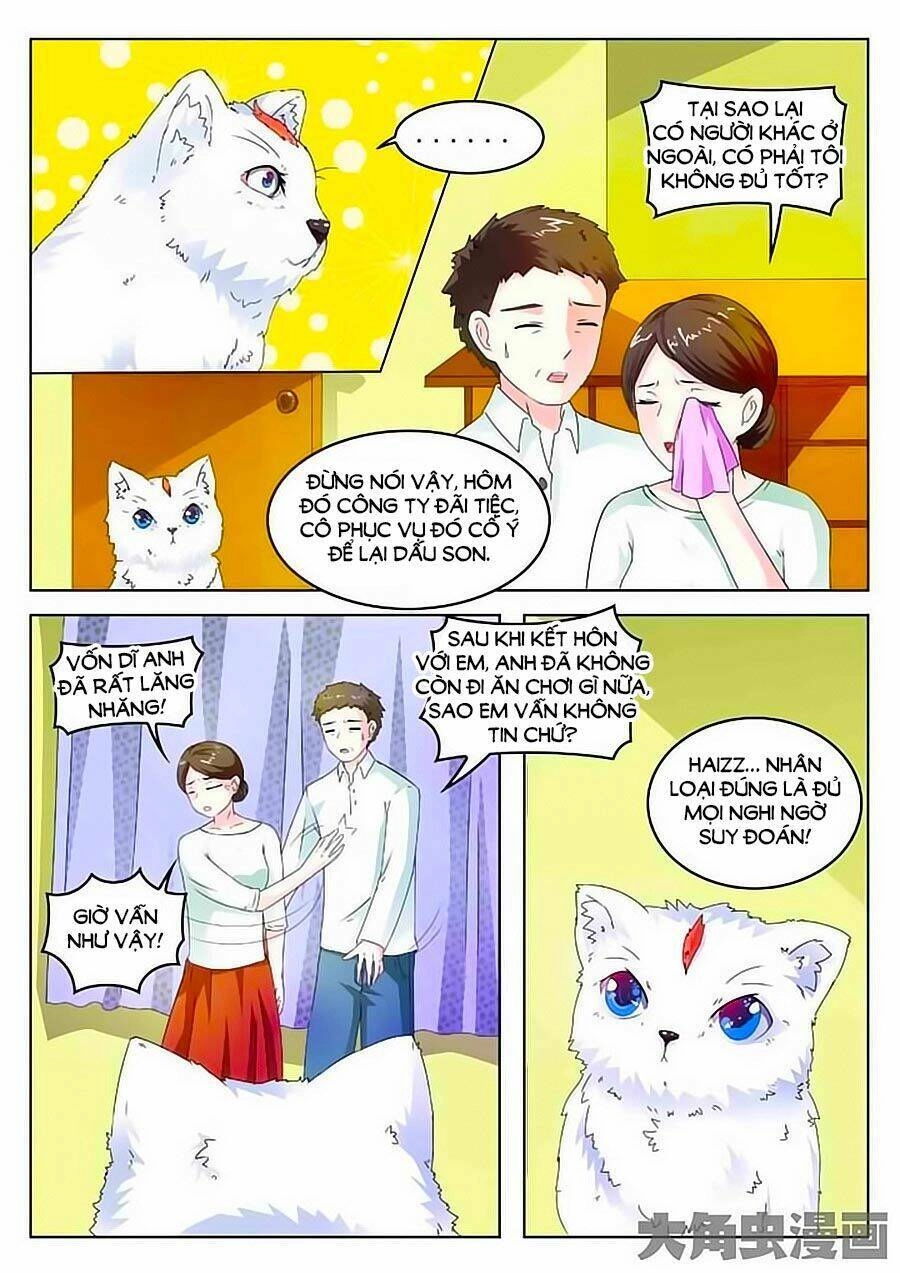 Mau Lấy Con Mèo Đó Ra Chapter 2 - 12