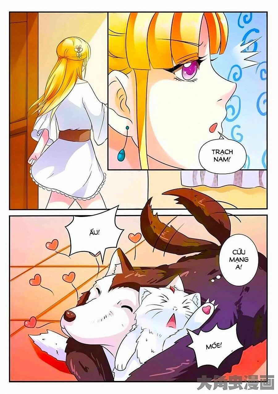 Mau Lấy Con Mèo Đó Ra Chapter 3 - 2