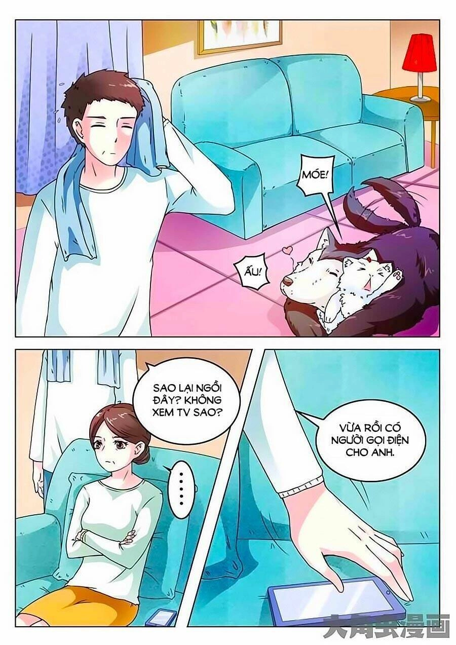 Mau Lấy Con Mèo Đó Ra Chapter 5 - 8