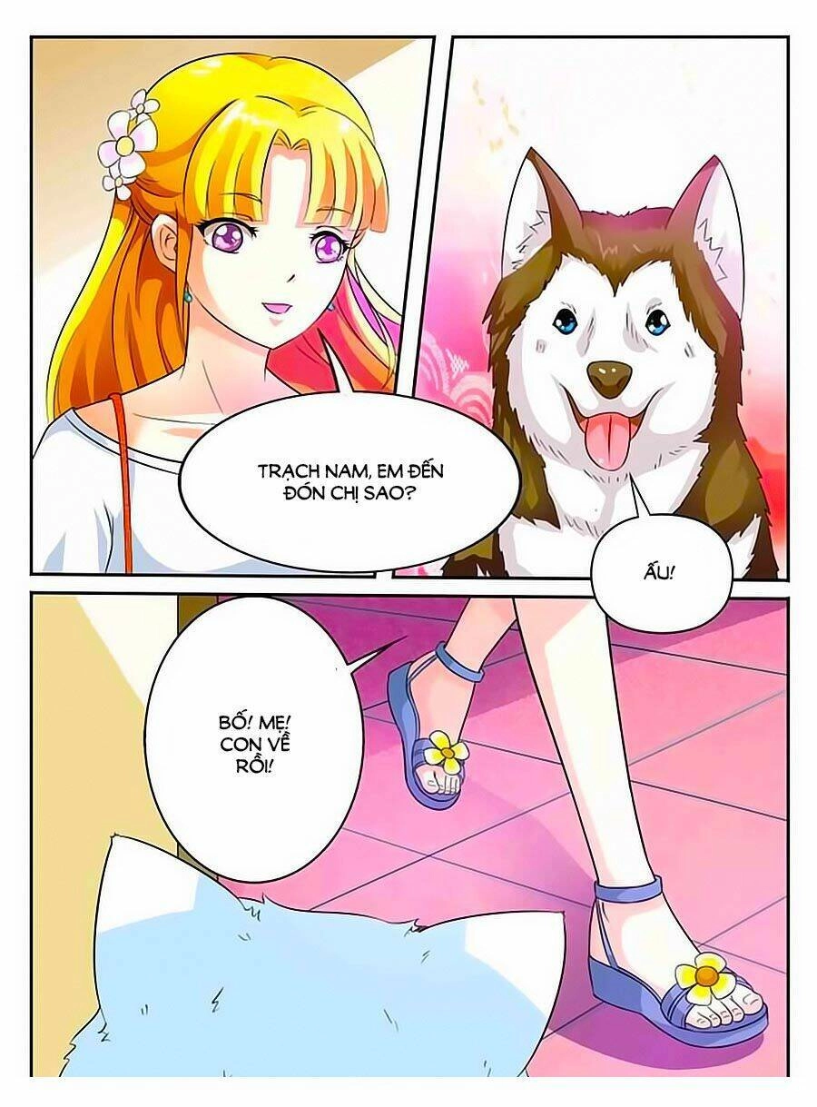 Mau Lấy Con Mèo Đó Ra Chapter 8 - 10