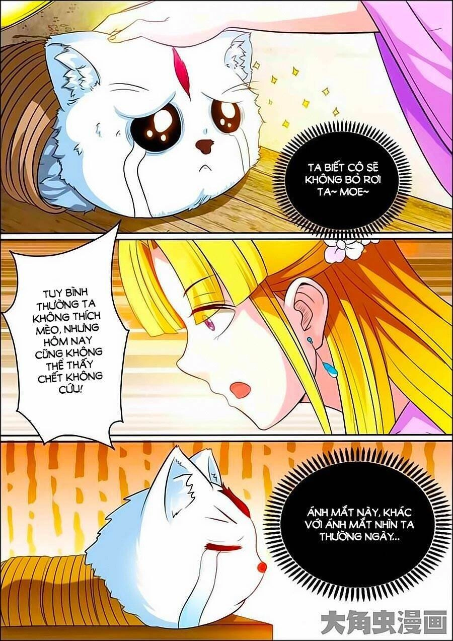 Mau Lấy Con Mèo Đó Ra Chapter 12 - 6