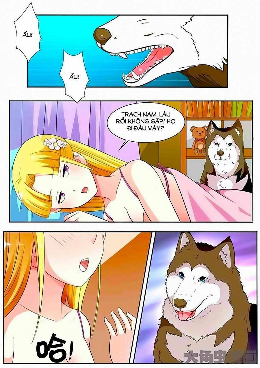 Mau Lấy Con Mèo Đó Ra Chapter 17 - 11