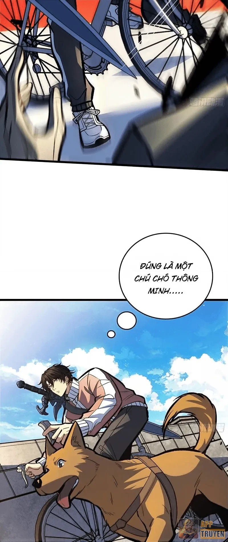 Mình Ta Tung Hoành Loạn Thế Chapter 20 - 23