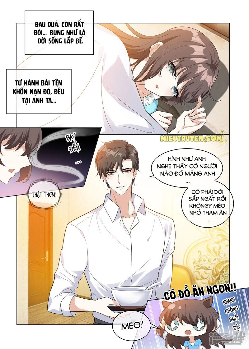 Thiếu Soái! Vợ Ngài Lại Bỏ Trốn Chapter 208 - 2