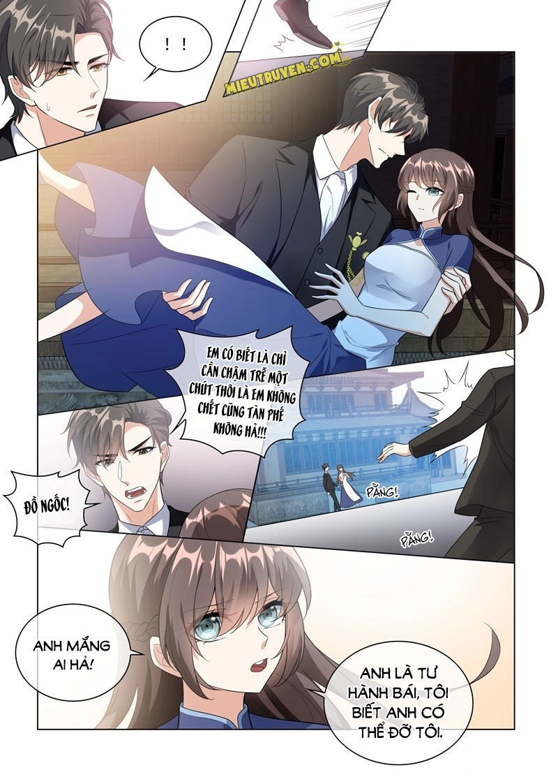 Thiếu Soái! Vợ Ngài Lại Bỏ Trốn Chapter 225 - 8