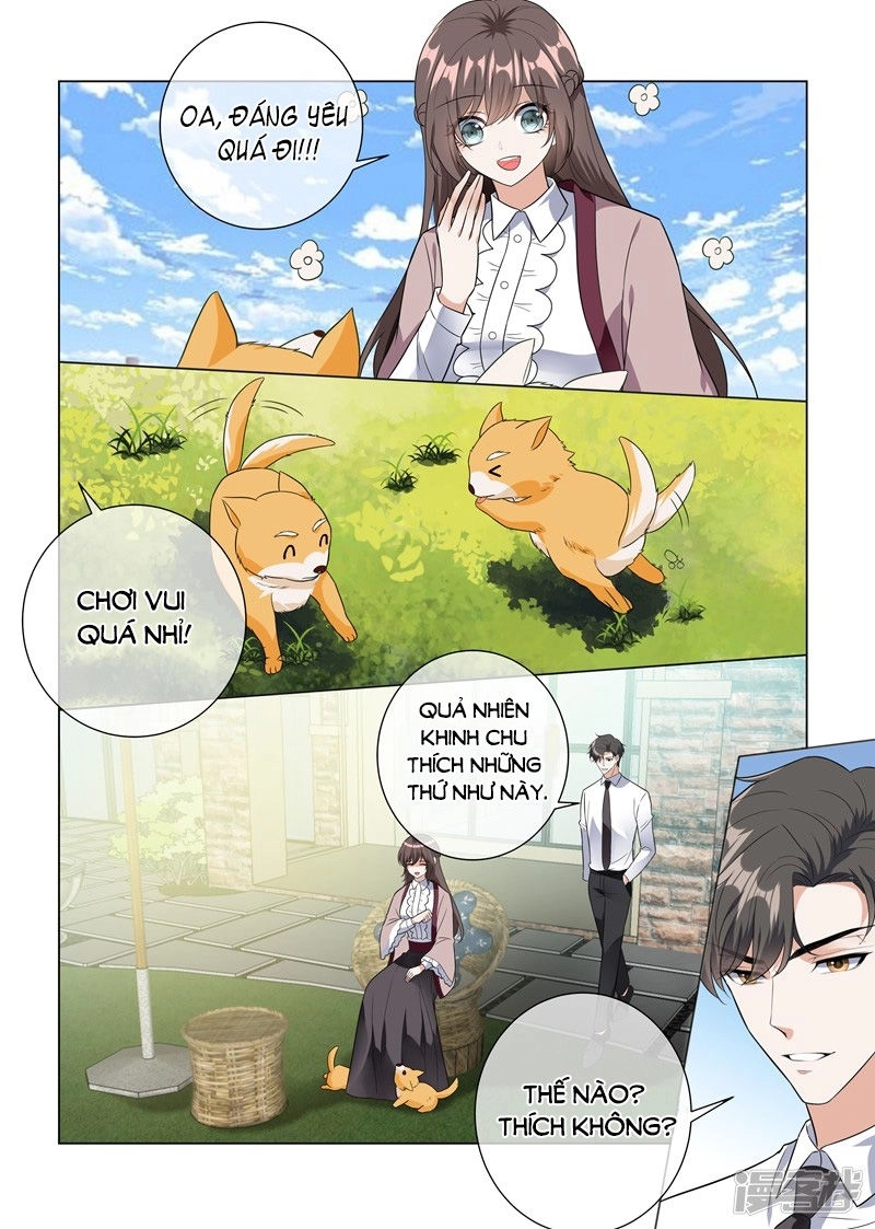 Thiếu Soái! Vợ Ngài Lại Bỏ Trốn Chapter 227 - 6