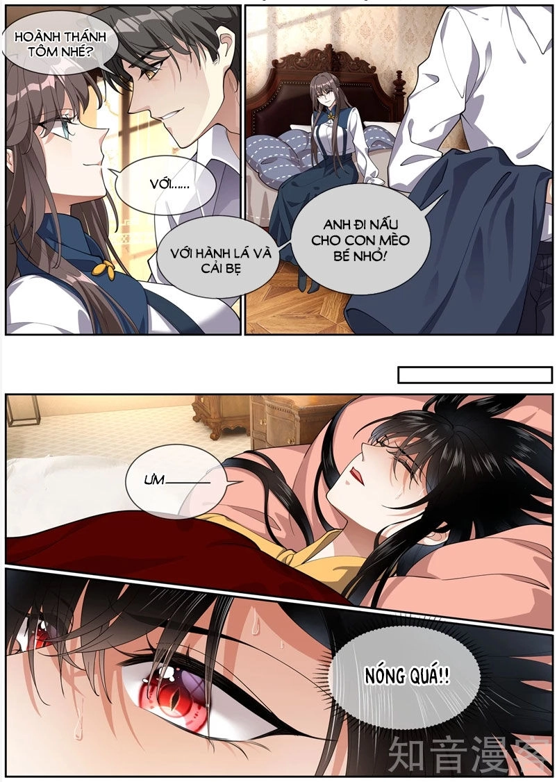 Thiếu Soái! Vợ Ngài Lại Bỏ Trốn Chapter 276 - 3