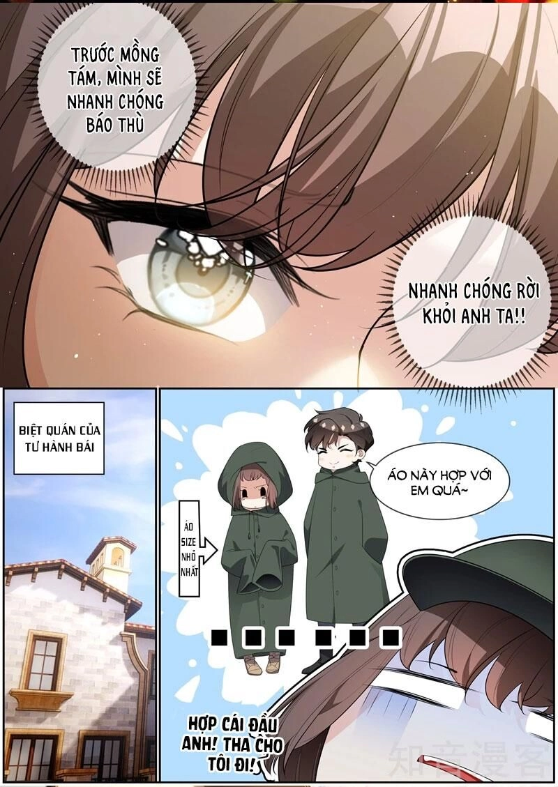 Thiếu Soái! Vợ Ngài Lại Bỏ Trốn Chapter 285 - 6