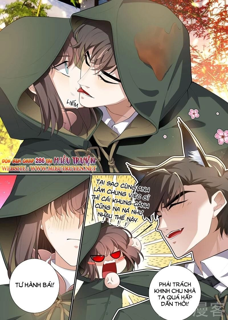 Thiếu Soái! Vợ Ngài Lại Bỏ Trốn Chapter 285 - 10