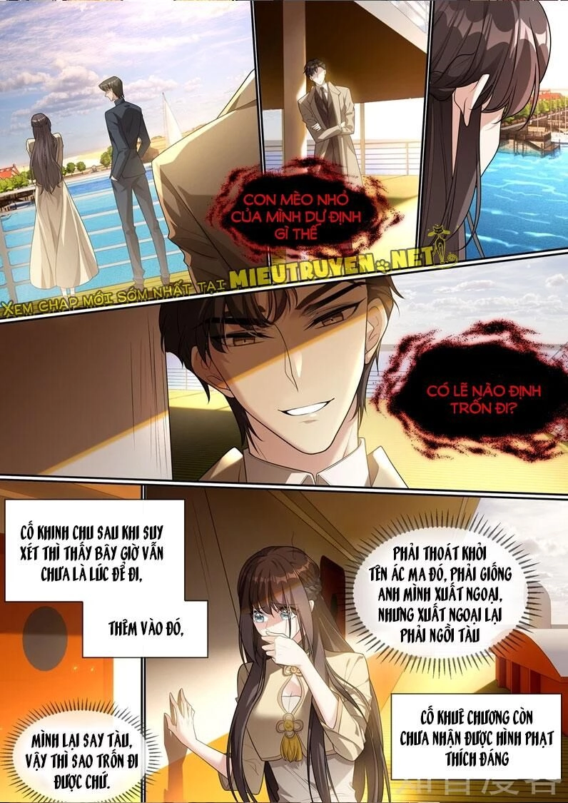 Thiếu Soái! Vợ Ngài Lại Bỏ Trốn Chapter 290 - 7