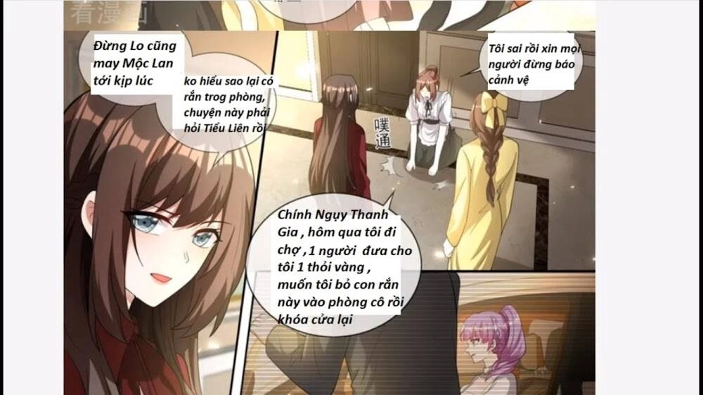 Thiếu Soái! Vợ Ngài Lại Bỏ Trốn Chapter 331 - 14