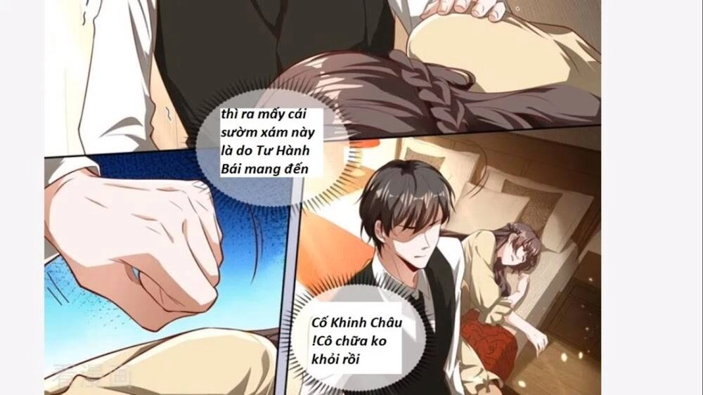 Thiếu Soái! Vợ Ngài Lại Bỏ Trốn Chapter 332 - 11