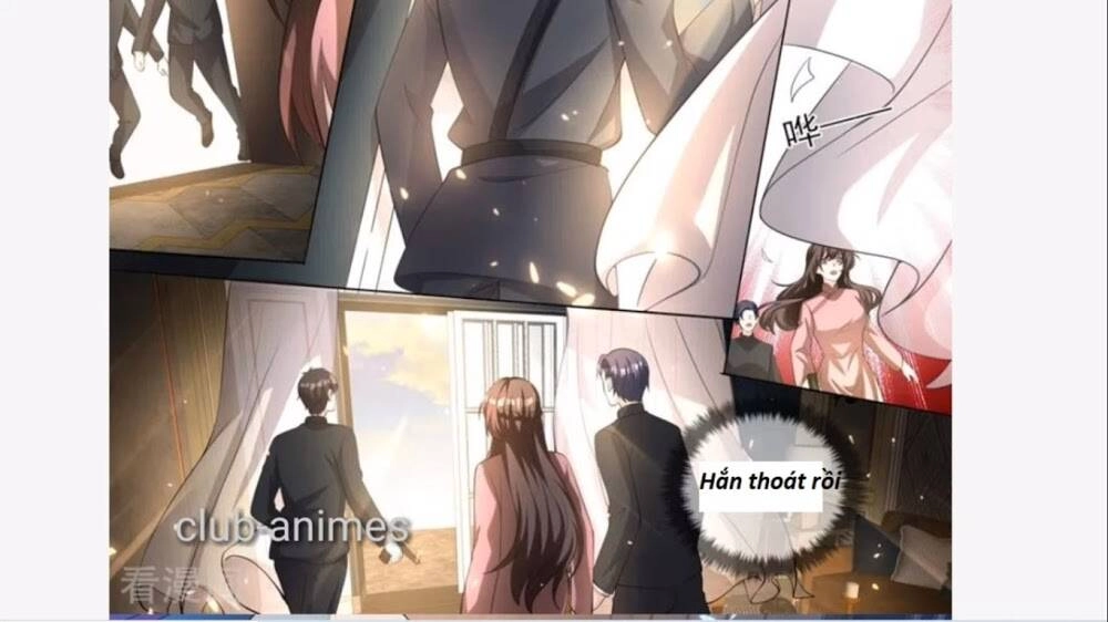 Thiếu Soái! Vợ Ngài Lại Bỏ Trốn Chapter 334 - 12