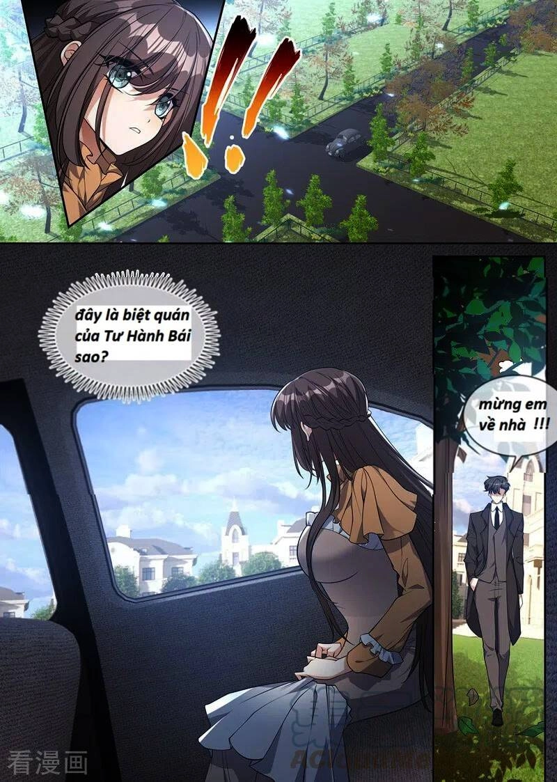 Thiếu Soái! Vợ Ngài Lại Bỏ Trốn Chapter 343 - 3