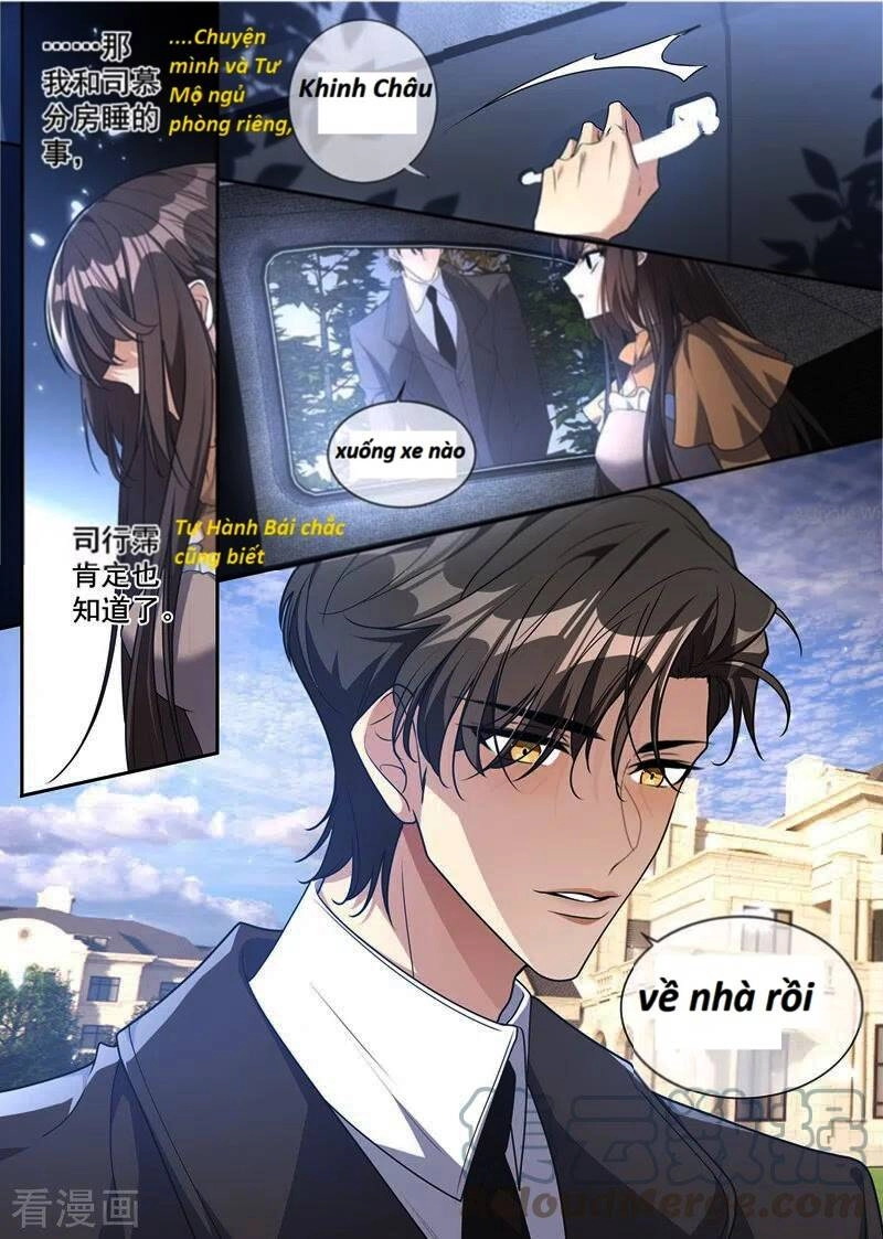Thiếu Soái! Vợ Ngài Lại Bỏ Trốn Chapter 343 - 5