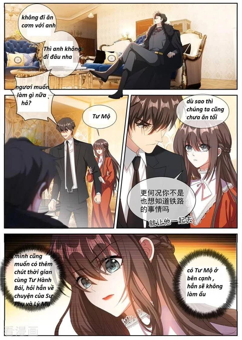 Thiếu Soái! Vợ Ngài Lại Bỏ Trốn Chapter 346 - 8