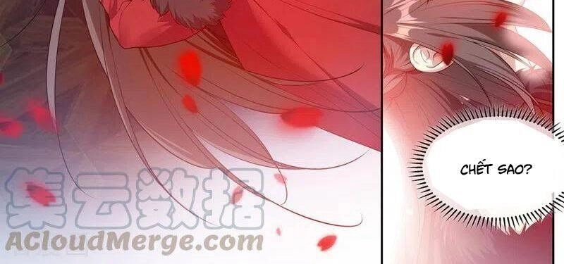 Thiếu Soái! Vợ Ngài Lại Bỏ Trốn Chapter 354 - 42