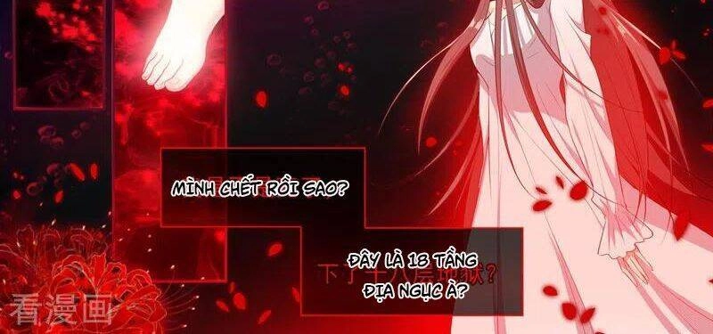 Thiếu Soái! Vợ Ngài Lại Bỏ Trốn Chapter 354 - 51