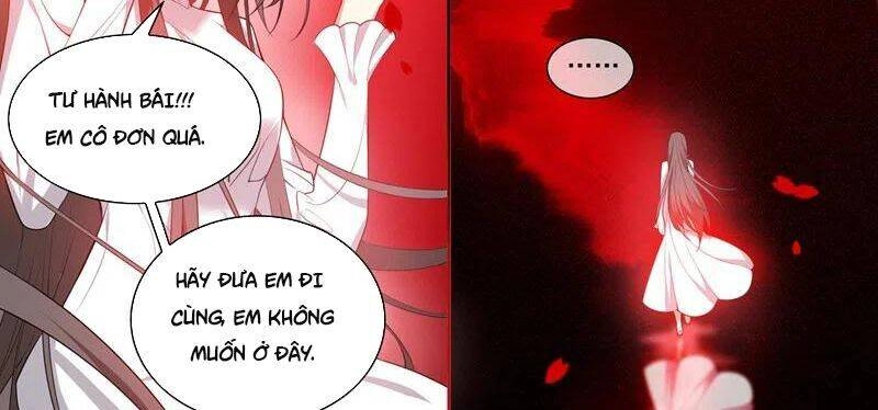 Thiếu Soái! Vợ Ngài Lại Bỏ Trốn Chapter 356 - 5