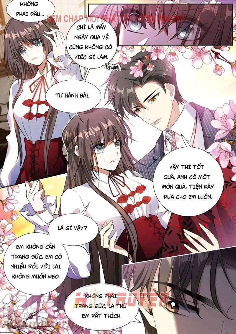 Thiếu Soái! Vợ Ngài Lại Bỏ Trốn Chapter 367 - 5