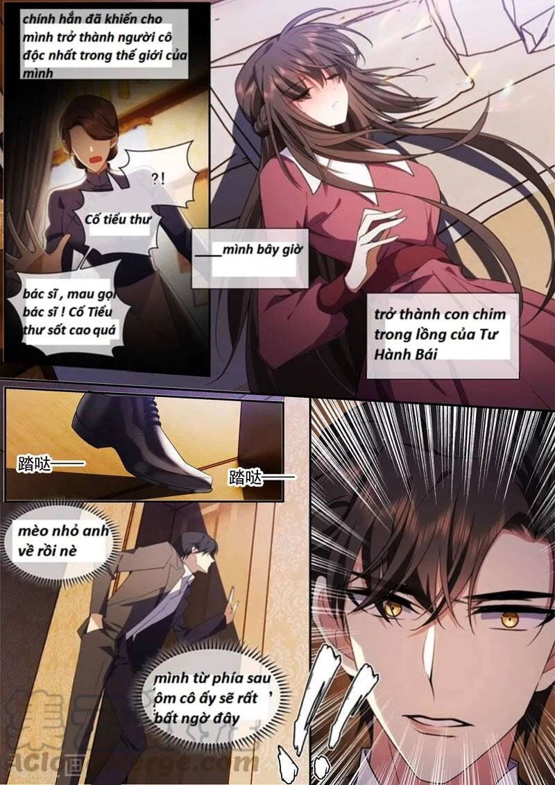 Thiếu Soái! Vợ Ngài Lại Bỏ Trốn Chapter 374 - 3