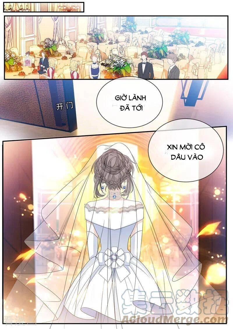 Thiếu Soái! Vợ Ngài Lại Bỏ Trốn Chapter 437 - 6